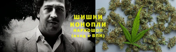 шишки Зеленодольск