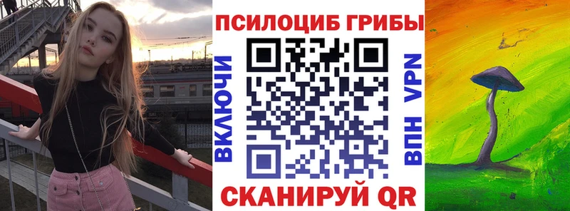 Псилоцибиновые грибы Magic Shrooms  купить  цена  Северо-Курильск 